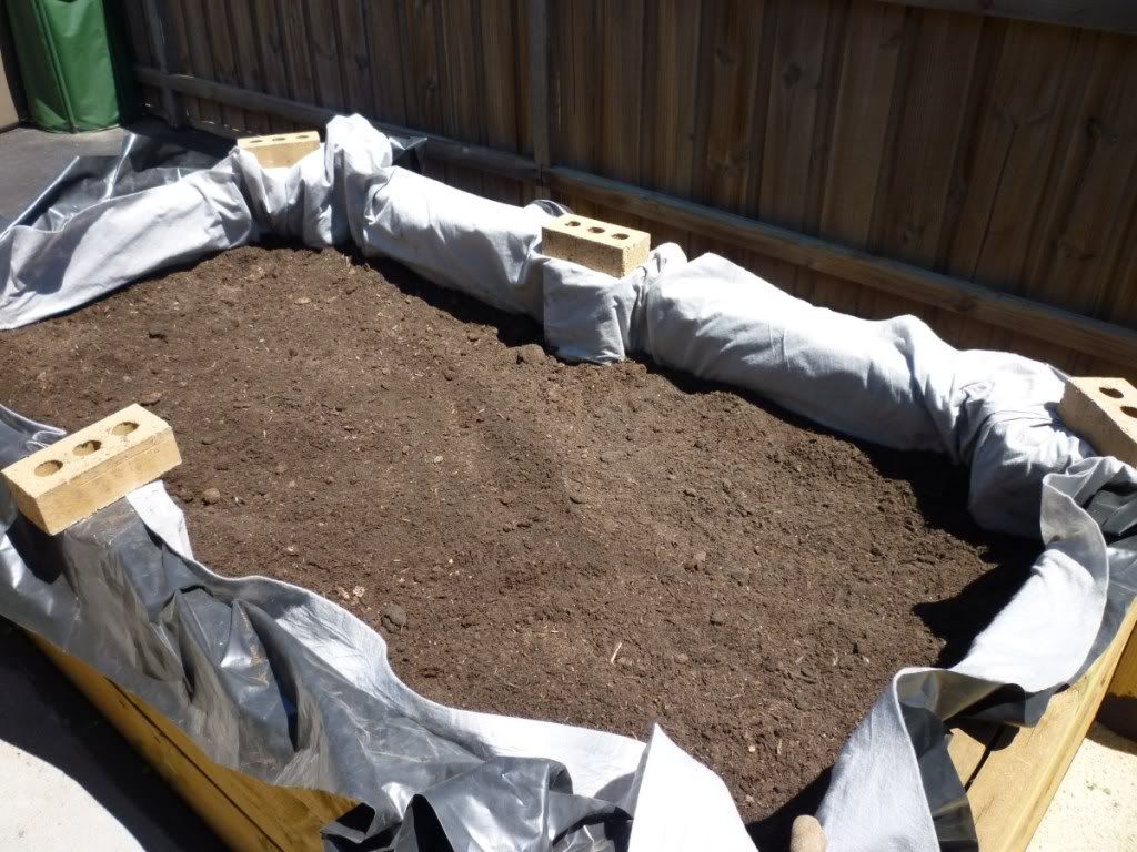 Wicking Beds Petar's Blog